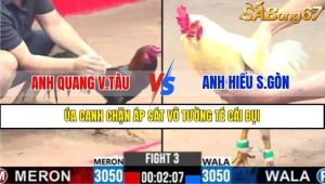 TRẬN 3 CPC3 7/3/2025