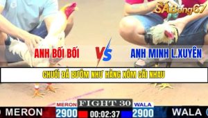 TRẬN 30 CPC1 3/3/2025