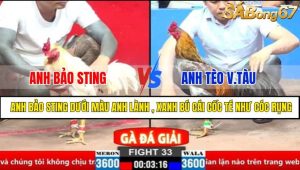 TRẬN 33 CPC2 30/3/2025