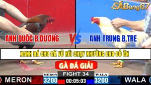 TRẬN 34 CPC2 2/3/2025