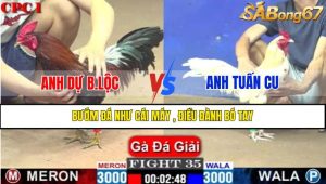 TRẬN 35 CPC1 22/3/2025
