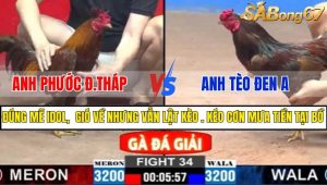 TRẬN 35 CPC2 2/3/2025