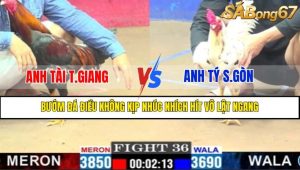 TRẬN 36 CPC1 13/3/2025