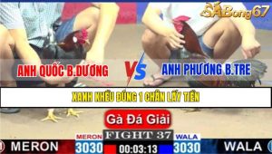 TRẬN 37 CPC1 6/3/2025