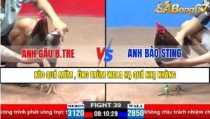 TRẬN 39 CPC2 30/3/2025