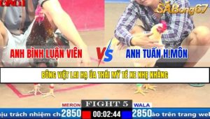 TRẬN 5 CPC1 25/3/2025