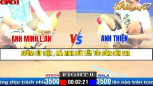 TRẬN 6 CPC1 27/3/2025