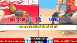 TRẬN 6 CPC2 21/3/2025