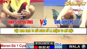 TRẬN 8 CPC1 22/3/2025