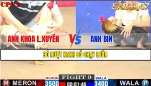 TRẬN 9 CPC1 1/3/2025