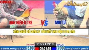 TRẬN 9 CPC1 25/3/2025