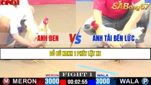 TRẬN 1 CPC1 15/4/2025 : ANH ĐEN VS ANH TÀI BẾN LỨC
