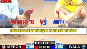 TRẬN 12 CPC1 15/4/2025 : ANH HẢI BẾN TRE VS ANH TIN