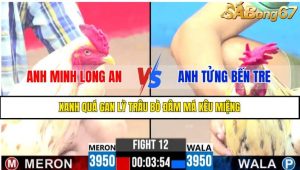 TRẬN 12 CPC3 15/4/2025 : ANH MINH LONG AN VS ANH TỬNG BẾN TRE