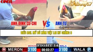 TRẬN 14 CPC1 15/4/2025 : ANH ĐỊNH CỦ CHI VS ANH TƯ