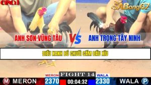 TRẬN 14 CPC1 28/4/2025 : ANH SƠN VŨNG TÀU VS ANH TRỌNG TÂY NINH