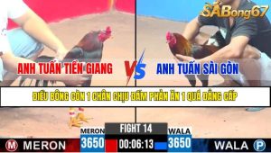 TRẬN 14 CPC3 15/4/2025 : ANH TUẤN TIỀN GIANG VS ANH TUẤN SÀI GÒN