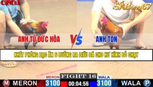 TRẬN 16 CPC1 15/4/2025 : ANH TÚ ĐỨC HÒA VS ANH TON