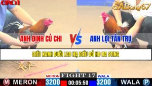 TRẬN 17 CPC1 15/4/2025 : ANH ĐỊNH CỦ CHI VS ANH LỢI TÂN TRỤ