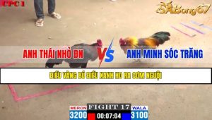 TRẬN 17 CPC1 21/4/2025 : ANH THÁI NHỎ ĐN VS ANH MINH SÓC TRĂNG