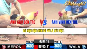 TRẬN 18 CPC3 15/4/2025 : ANH GẤU BẾN TRE VS ANH VINH BẾN TRE