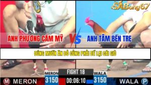 TRẬN 18 CPC3 21/4/2025 : ANH PHƯƠNG CẨM MỸ VS ANH TÂM BẾN TRE