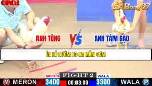 TRẬN 2 CPC1 15/4/2025 : ANH TÙNG VS ANH TÁM GẠO
