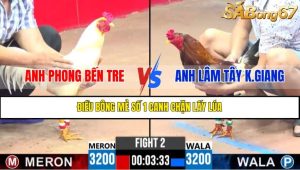 TRẬN 2 CPC3 21/4/2025 : ANH PHONG BẾN TRE VS ANH LÂM TÂY KIÊN GIANG