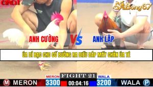 TRẬN 21 CPC1 15/4/2025 : ANH CƯỜNG VS ANH LẬP
