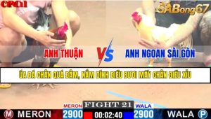 TRẬN 21 CPC1 7/4/2025 : ANH THUẬN VS ANH NGOAN SÀI GÒN