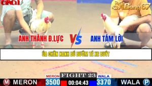 TRẬN 23 CPC1 21/4/2025 : ANH THÀNH Đ.LỰC VS ANH TÁM LỜI