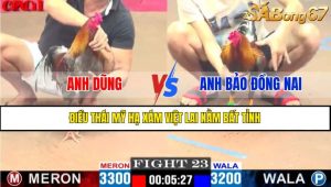 TRẬN 23 CPC1 7/4/2025 ANH DŨNG VS ANH BẢO ĐỒNG NAI