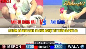 TRẬN 25 CPC1 15/4/2025 : ANH TƯ ĐỒNG NAI VS ANH ĐĂNG