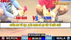 TRẬN 26 CPC1 7/4/2025 : ANH NAM VS AZ888