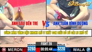 TRẬN 28 CPC3 15/4/2025 : ANH GẤU BẾN TRE VS ANH TUẤN BÌNH DƯƠNG