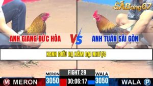 TRẬN 29 CPC3 15/4/2025 : ANH GIANG ĐỨC HÒA VS ANH TUẤN SÀI GÒN