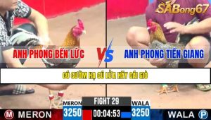 TRẬN 29 CPC3 21/4/2025 : ANH PHONG BẾN LỨC VS ANH PHONG TIỀN GIANG