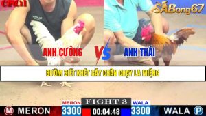 TRẬN 3 CPC1 15/4/2025 : ANH CƯỜNG VS ANH THÁI