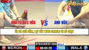 TRẬN 34 CPC1 15/4/2025 : ANH TÚ ĐỨC HÒA VS ANH HÒA
