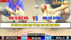 TRẬN 35 CPC1 15/4/2025 : ANH TÚ ĐỨC HÒA VS ANH CHÍ CƯỜNG