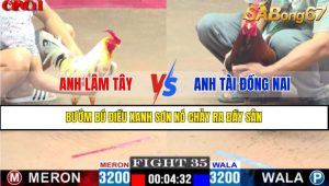 TRẬN 35 CPC1 7/4/2025 : ANH LÂM TÂY VS ANH TÀI ĐỒNG NAI