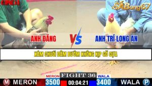 TRẬN 36 CPC1 15/4/2025 : ANH ĐĂNG VS ANH TRÍ LONG AN