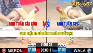TRẬN 36 CPC3 15/4/2025 : ANH TUẤN SÀI GÒN VS ANH TUẤN CPC