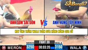 TRẬN 39 CPC3 7/4/2025 : ANH SƠN SÀI GÒN VS ANH HÙNG TÂY NINH