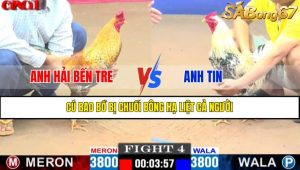 TRẬN 4 CPC1 15/4/2025 : ANH HẢI BẾN TRE VS ANH TIN