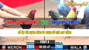 TRẬN 4 CPC3 21/4/2025 : ANH LƯỢM BÌNH DƯƠNG VS ANH VĨNH CẦN THƠ