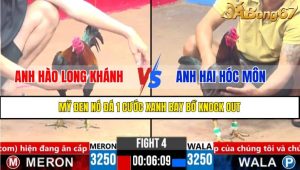 TRẬN 4 CPC3 7/4/2025 : ANH HÀO LONG KHÁNH VS ANH HAI HÓC MÔN