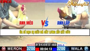 TRẬN 42 CPC1 15/4/2025 : ANH MÈO VS ANH LẬP