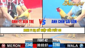 TRẬN 42 CPC3 7/4/2025 : ANH TÝ BẾN TRE VS ANH CHÍN SÀI GÒN