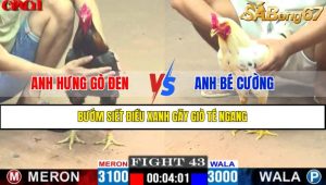 TRẬN 43 CPC1 28/4/2025 : ANH HƯNG GÒ ĐEN VS ANH BÉ CƯỜNG